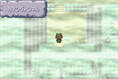 MapLocation Hoenn Rusturf Tunnel.png