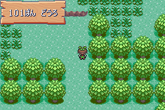 MapLocation Hoenn Route 101.png