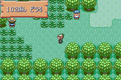 MapLocation Hoenn Route 102.png