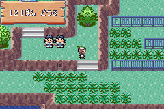 MapLocation Hoenn Route 121.png