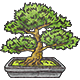 PDW Decor Thumb Bonsai.png