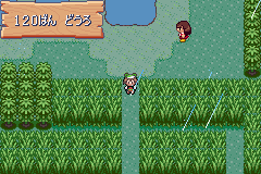 MapLocation Hoenn Route 120.png