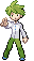 Trainer Sprite Em Wally.png