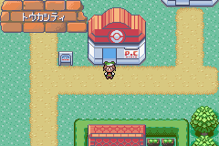 MapLocation Hoenn Petalburg City.png