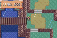 MapLocation Hoenn Route 119.png