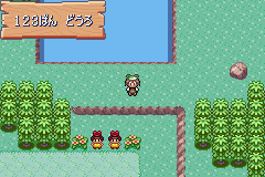 MapLocation Hoenn Route 123.png