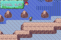 MapLocation Hoenn Route 133.png