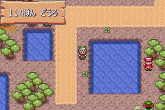 MapLocation Hoenn Route 114.png