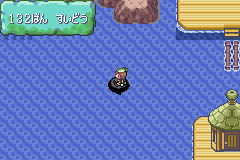 MapLocation Hoenn Route 132.png