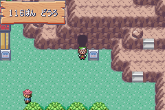 MapLocation Hoenn Route 116.png